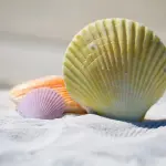 Come truccarsi in estate